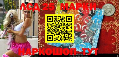 spice Новодвинск