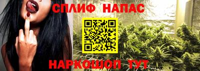 прущие крисы Нальчик