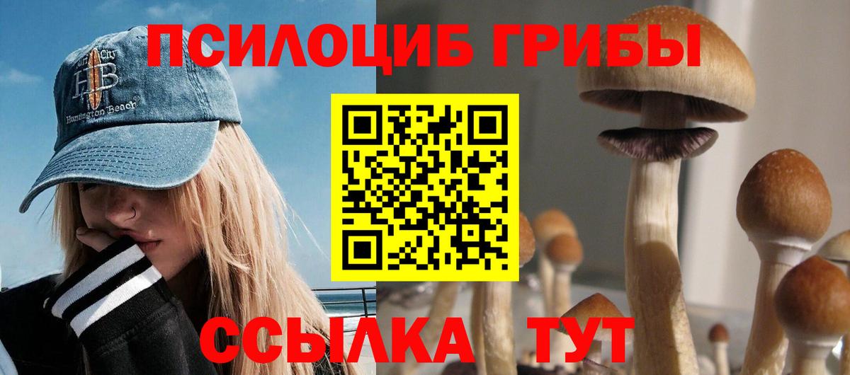 Павлово  Псилоцибиновые грибы GOLDEN TEACHER  Вход с VPN 